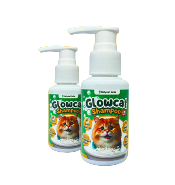 Holycatlabs Glowcat Shampoo All In One