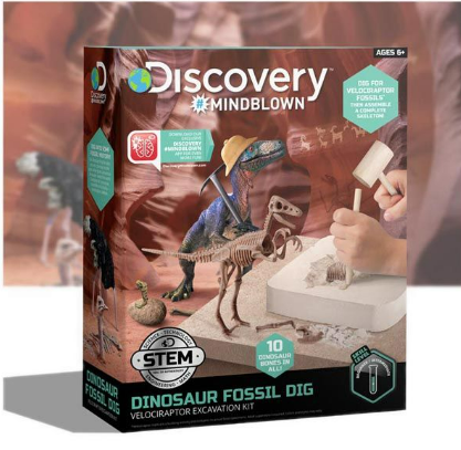 Dinnosaur Fossil Dig 1