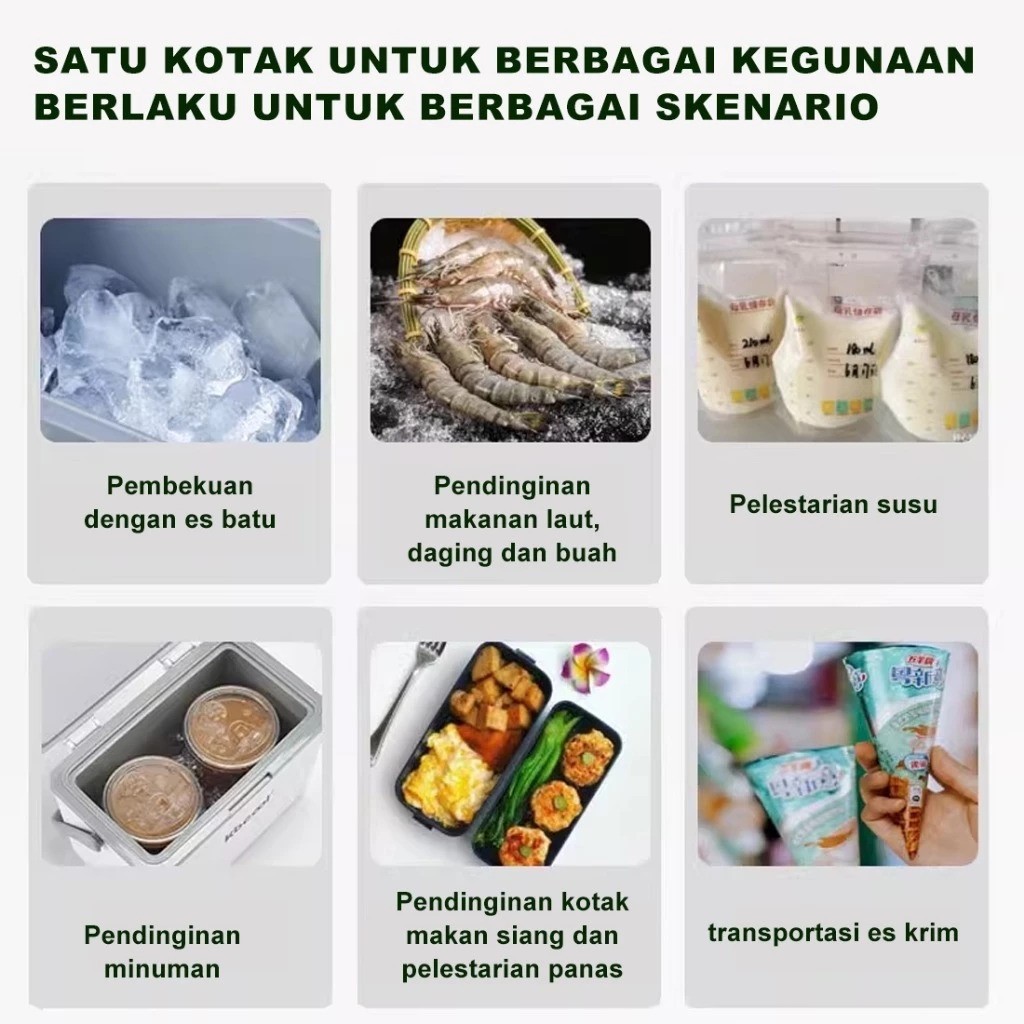  WTHB Outdoor Cooler Box 10L