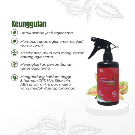 Planteria Planteria Pupuk Daun Aglonema 