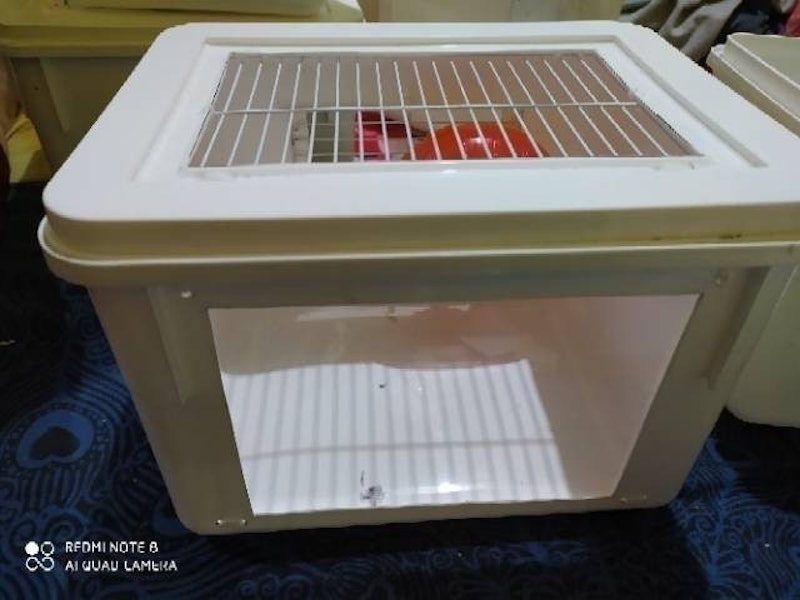Kandang Marmut Boks Akrilik 3