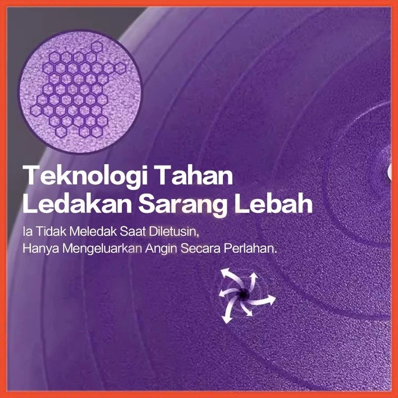 Hoptech Gym Ball Fitness 4