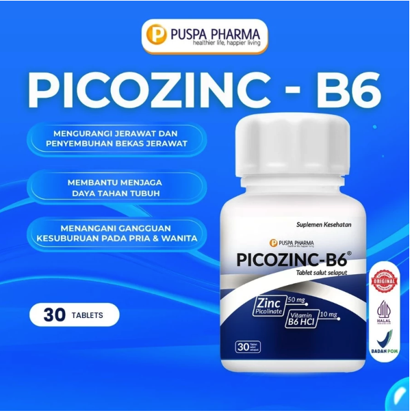 Puspa Pharma Picozinc-B6