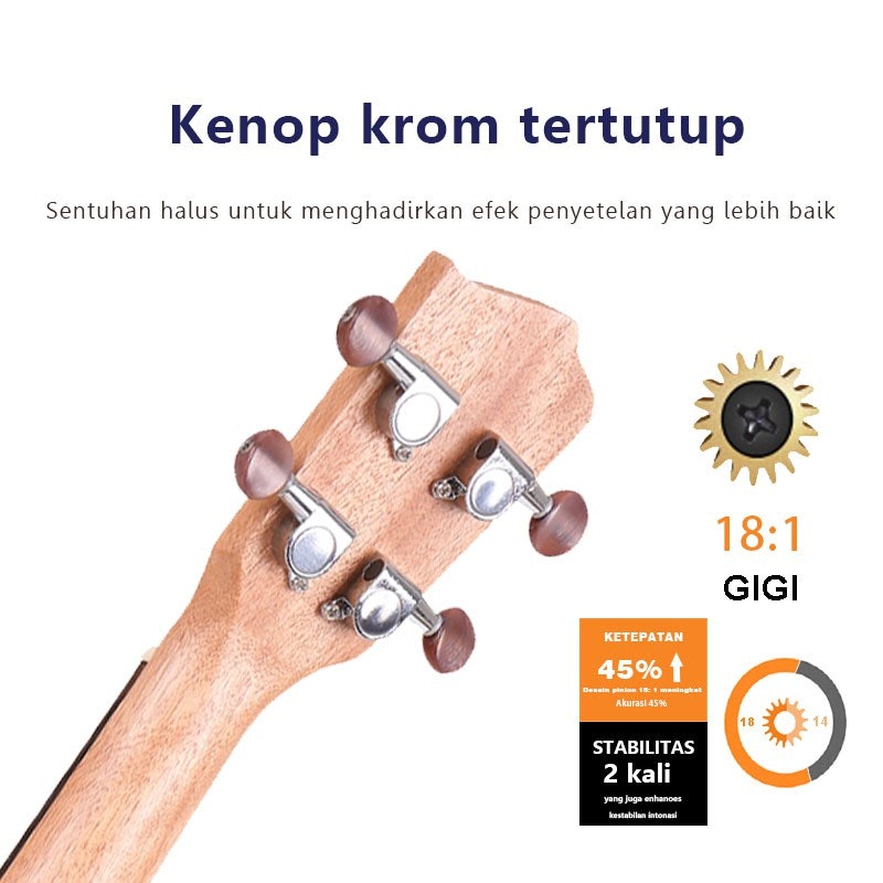 Ukulele Concerto 4