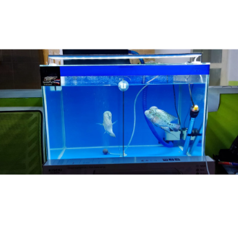 Kiseki Direct Current (DC) Fish Tank Lamp CK-SZ