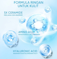 5X Ceramide Low pH Cleanser 2