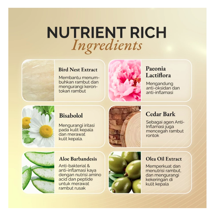 Singapore Maoshengwei O'Sweet Singapore Coco Intensive Repair Shampoo