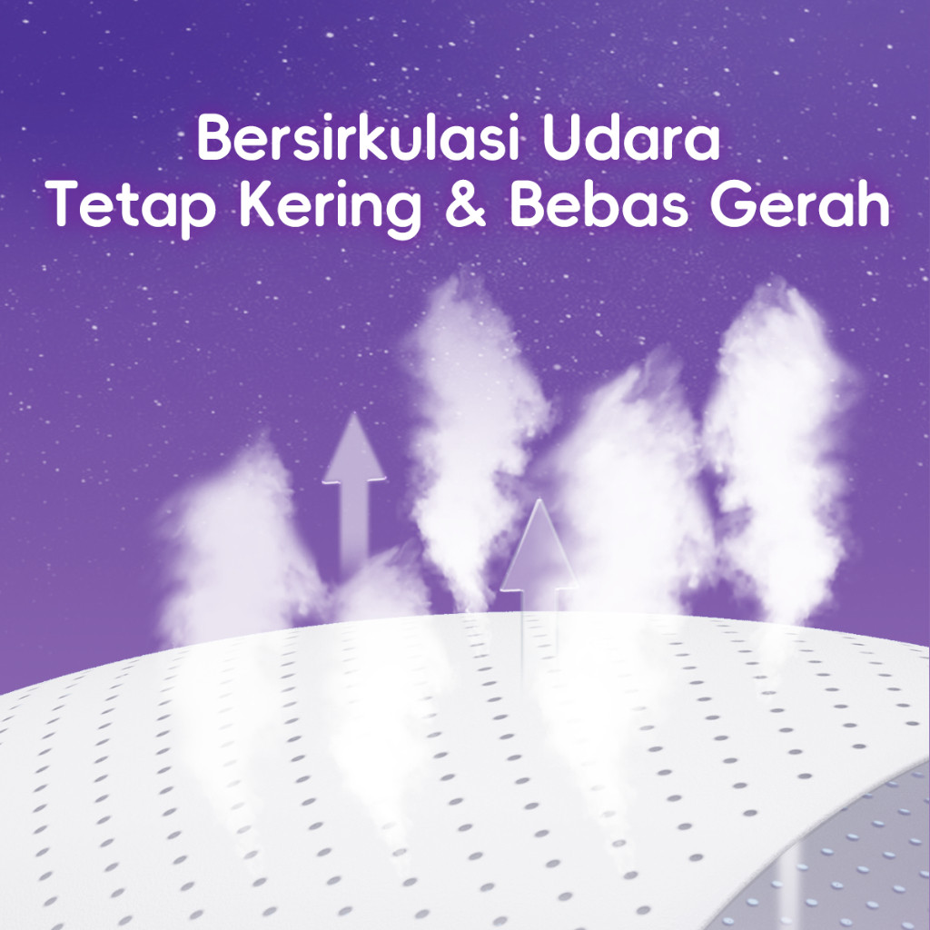 Ladis Pembalut Celana Menstruasi Dream Series 5