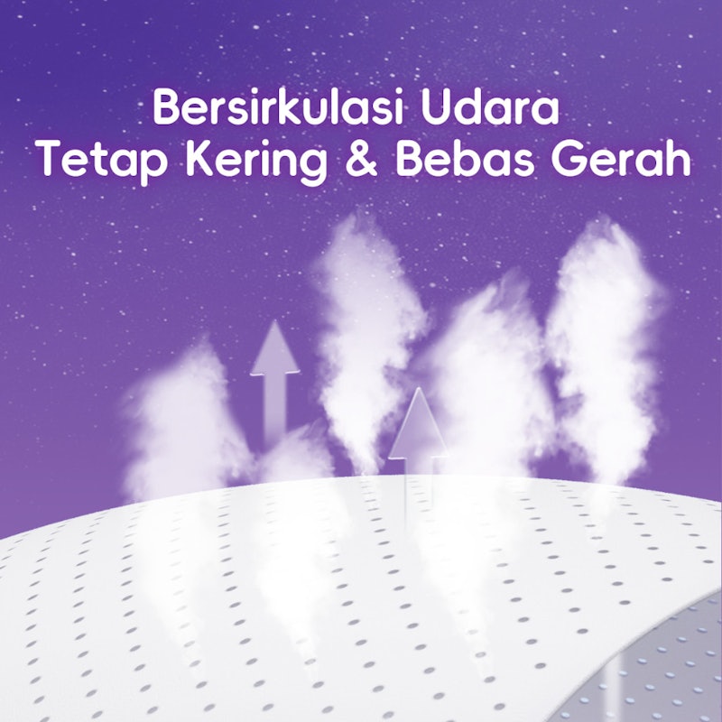 Ladis Pembalut Celana Menstruasi Dream Series 5