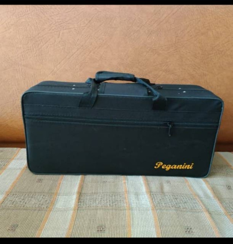 Peganini Baby Saxophone Gold 2