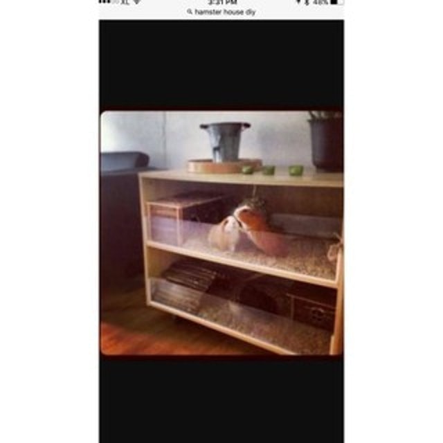  Kandang Marmut Tingkat Kayu Jati Belanda