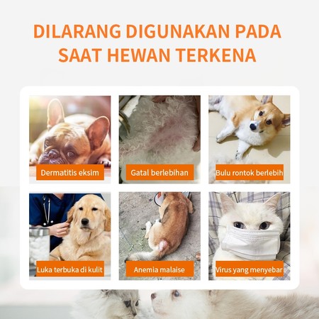 Puainta Fipronil Spot On 5