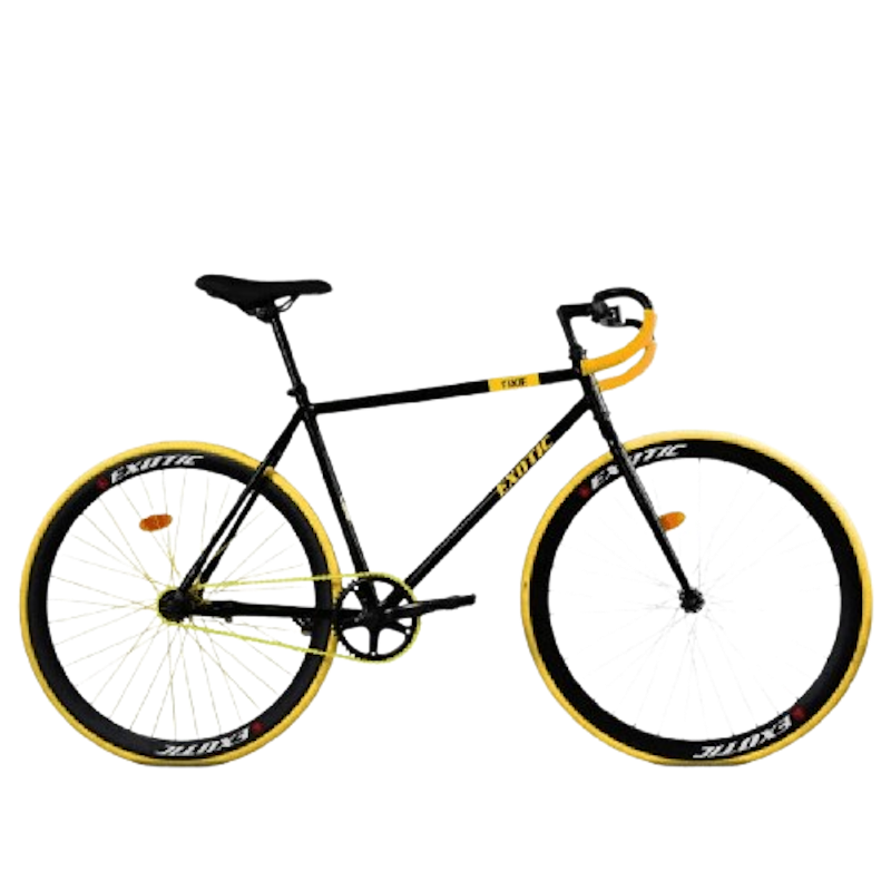Exotic Sepeda Fixie 1