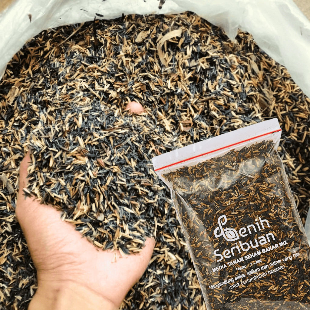Benih Seribuan Sekam Bakar Mix