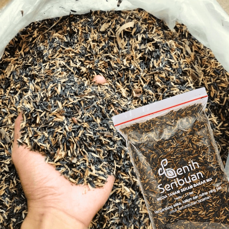 Benih Seribuan Sekam Bakar Mix 4