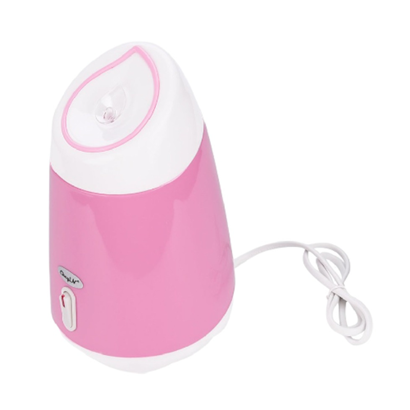 Face Steamer 2