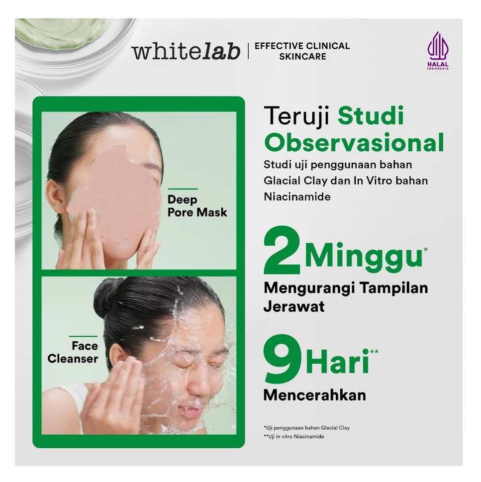 Natura Deca Kosmetika Whitelab Mugwort Deep Pore Clay Cleanser