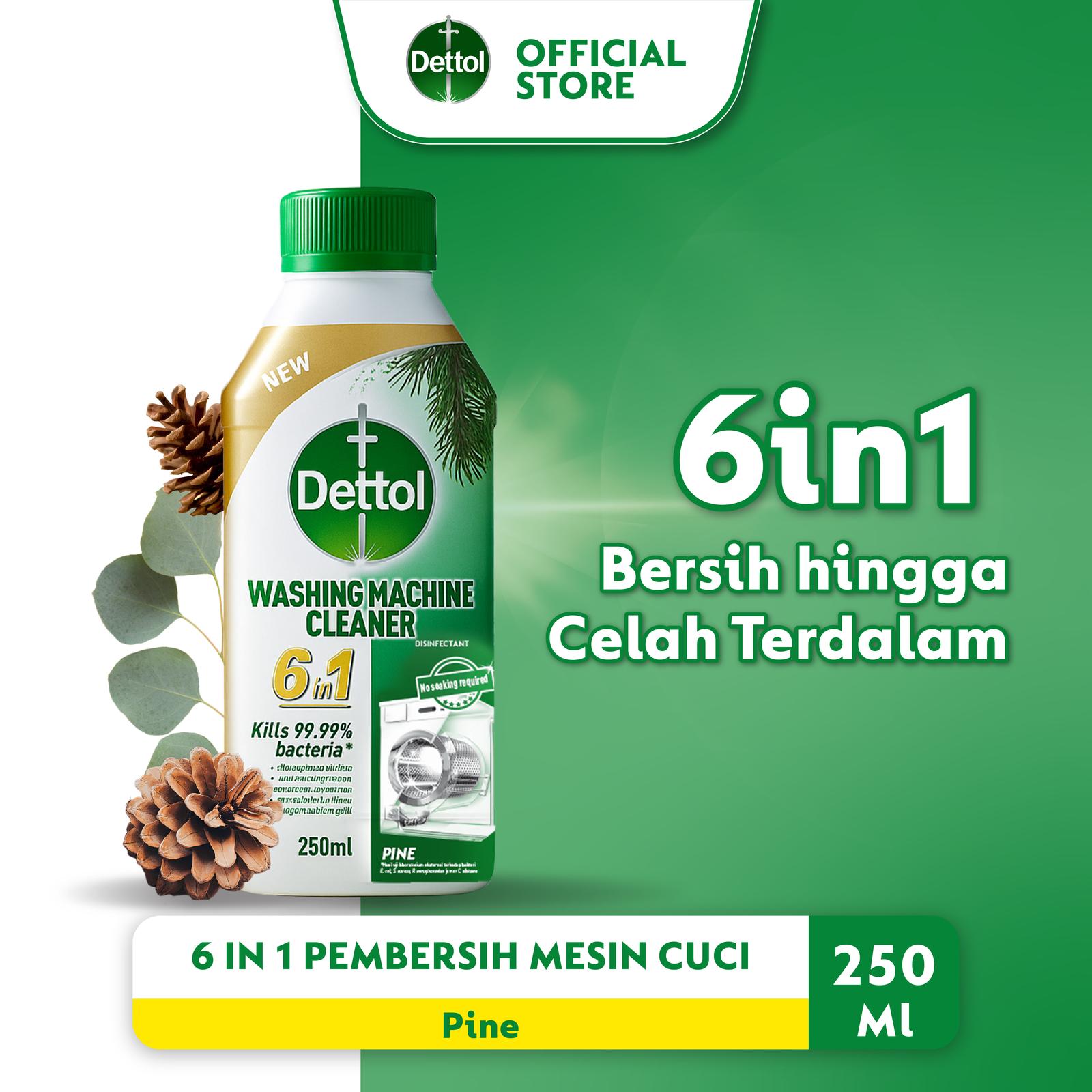 Reckitt Benckiser Indonesia Dettol Washing Machine Cleaner Pine
