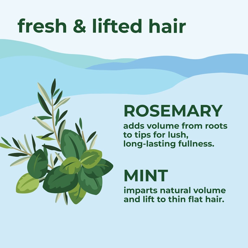 Petal Fresh Pure Volumizing Shampoo with Rosemary and Mint 5