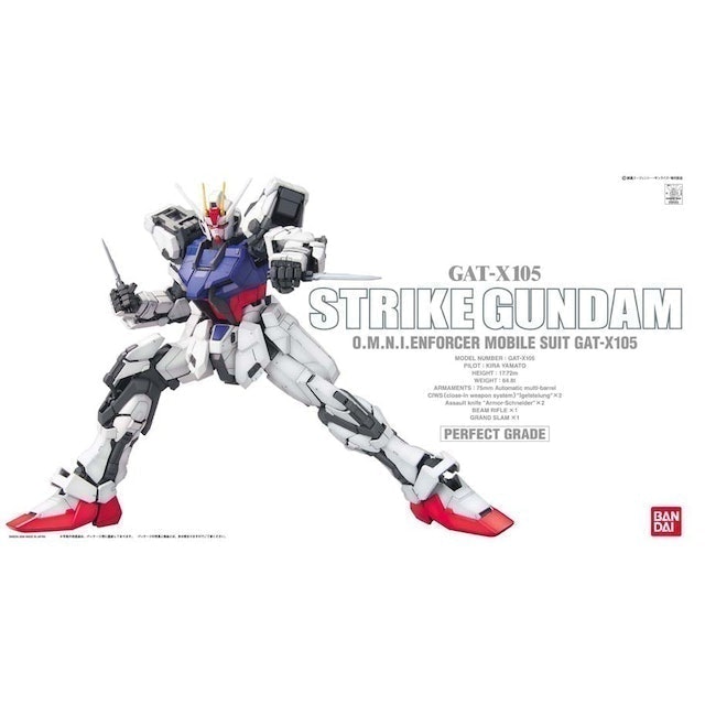 GAT-X105 Strike Gundam 5