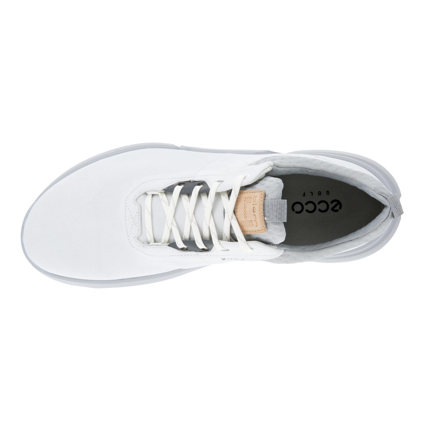 Men's Golf Biom H4