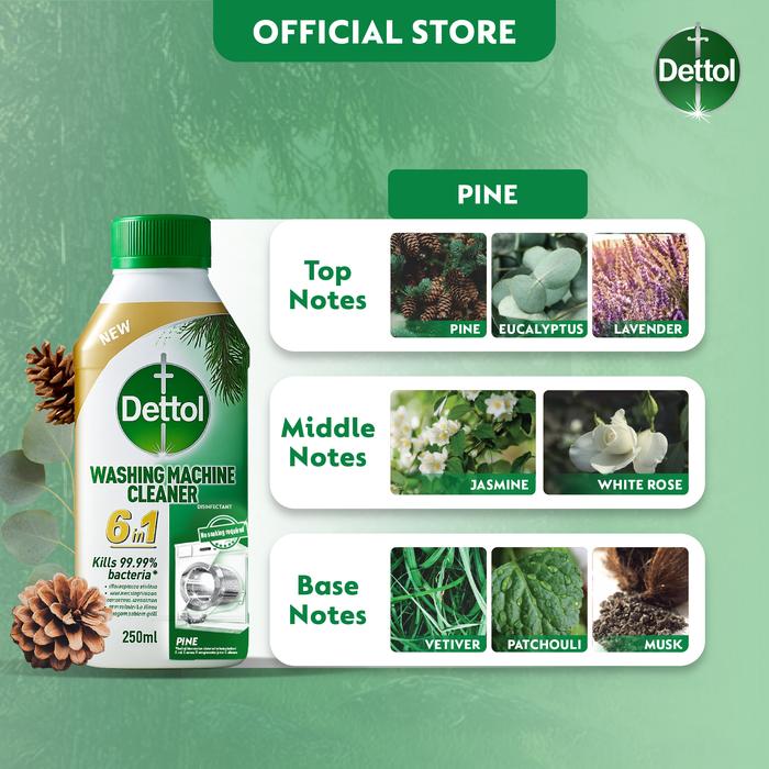 Reckitt Benckiser Indonesia Dettol Washing Machine Cleaner Pine