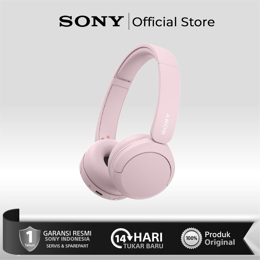 Sony Group Corporation Sony On Ear Wireless Headphones WH-CH520