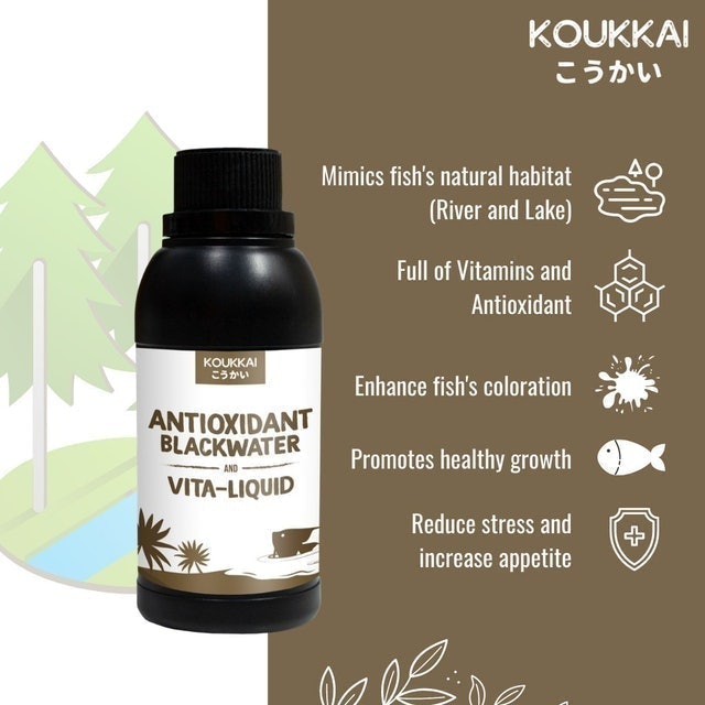 Antioxidant BlackWater & Vita-Liquid  2