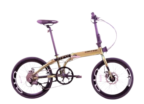 Terang Dunia Internusa United Cora 9S