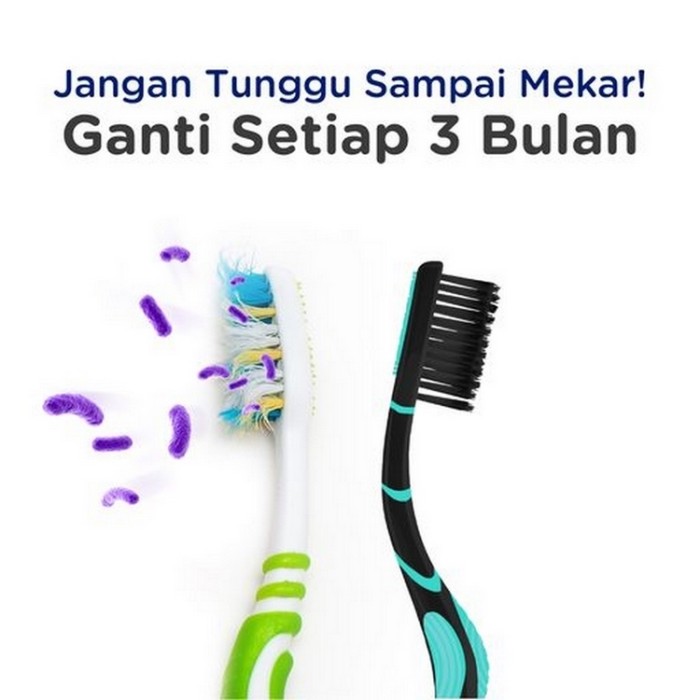 Sikat Gigi Antibakteri Silver Charcoal  3