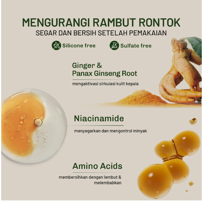 HEBE Beauty Style Lavojoy Hold Me Tight Pro Shampoo Spring Wonder