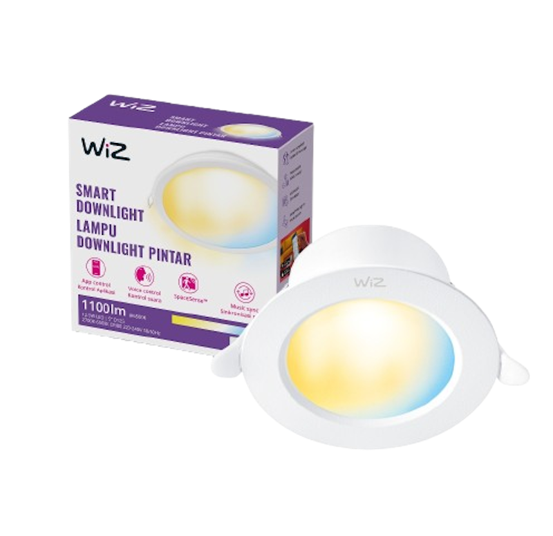 WiZ Smart Downlight Tunable White 12,5W 1