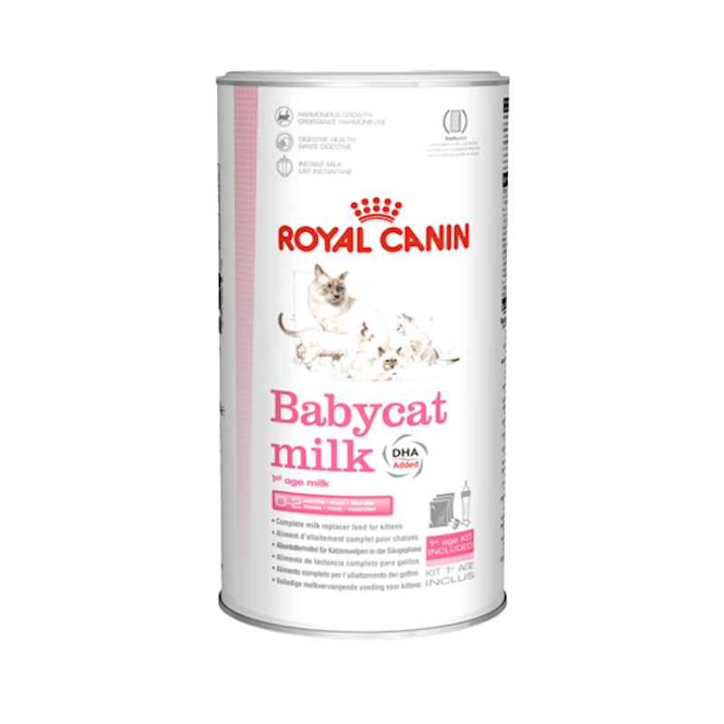 Babycat Milk 1
