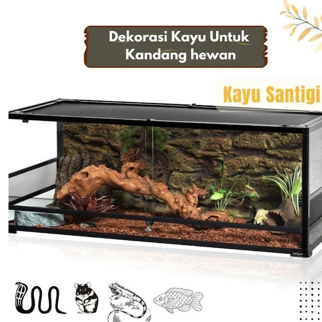  Kayu Santigi Aesthetic Size S