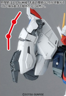 Bandai MG 1/100 Freedom Gundam (Ver. 2.0) 
