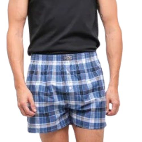 Ricky Putra Globalindo GT Man Boxer Multicolor for Men BX02NEW