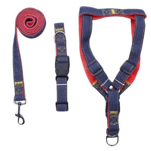 Dog Leash Adjustable Harness Neck Collar Set Canvass Model