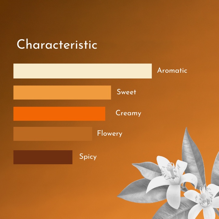  ALT Perfume Moroccan Sunset