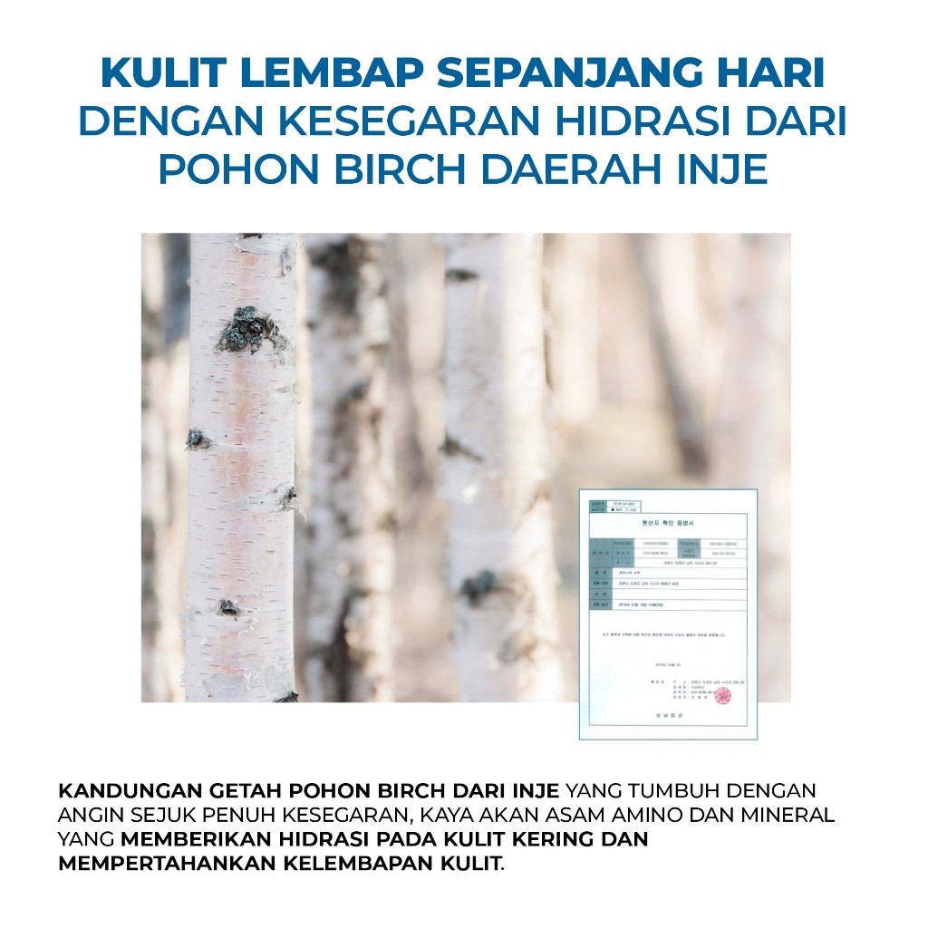 CVC Capital Round Lab Birch Juice Moisturizing Sunscreen SPF 50+ PA++++