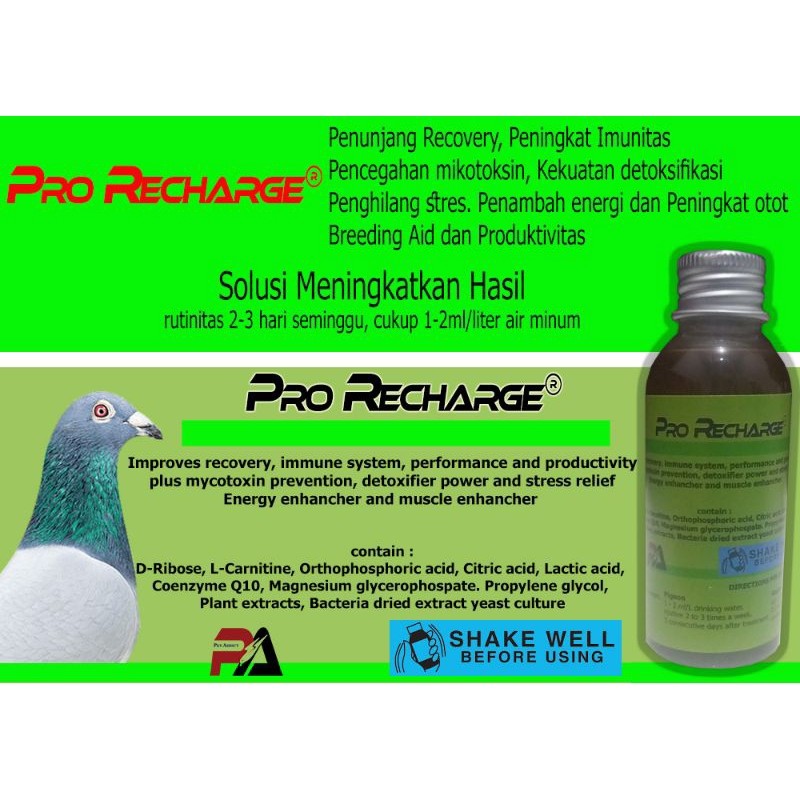 Pro Recharge 2