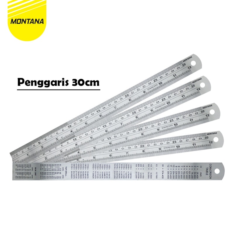 Montana Penggaris Metal 30 cm 3