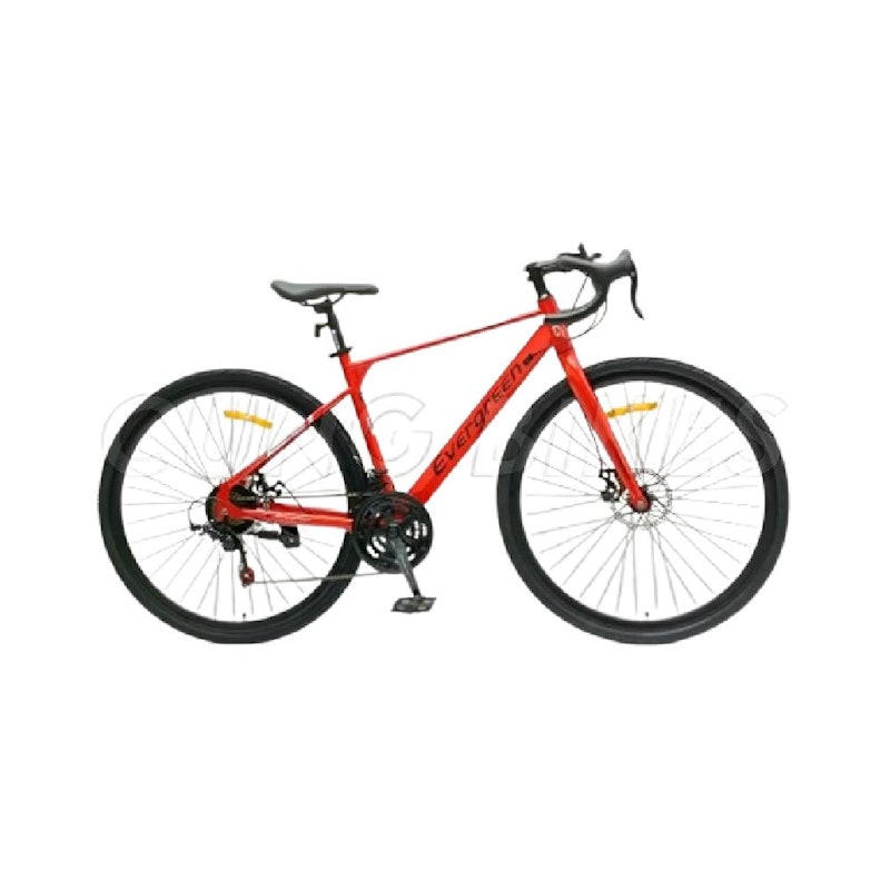 Evergreen Gravel Jazz 700C