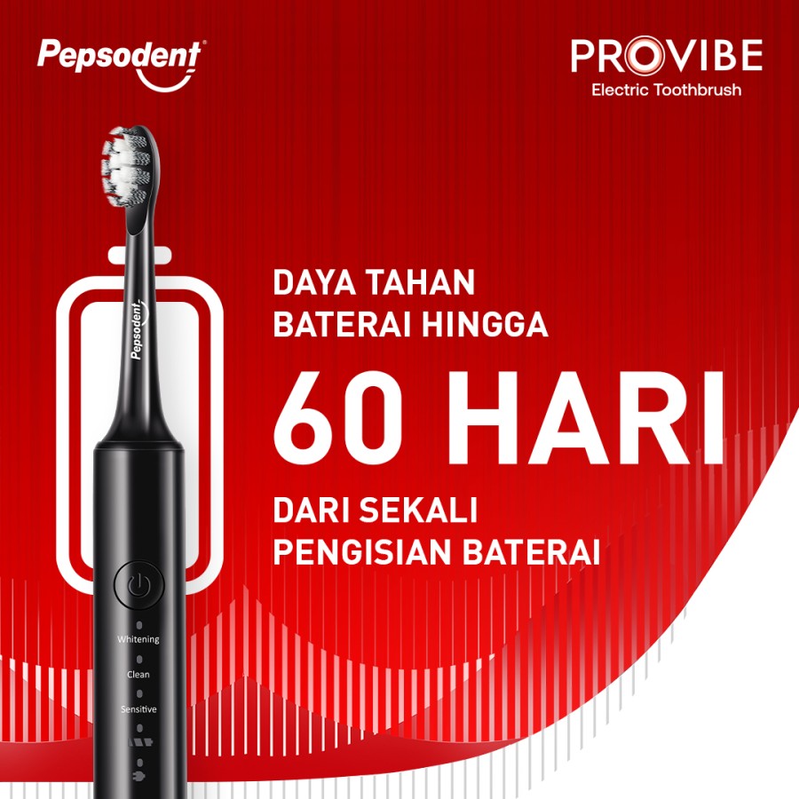 Sikat Gigi Eletrik ProVibe 4
