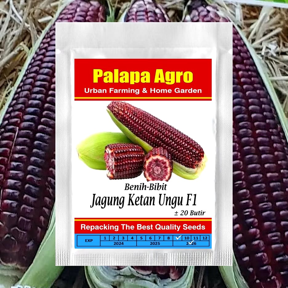 Restu Agropro Jayamas Palapa Agro Benih Jagung Ketan Ungu F1