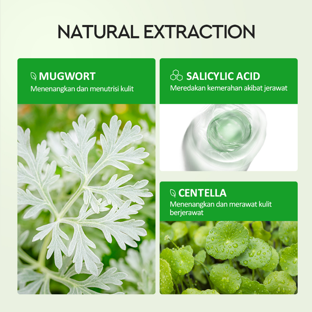 GuangZhou DAAI Cosmetics Manufacture Glad2Glow Mugwort Clay Mask