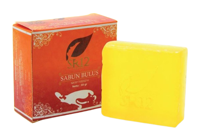 Sabun Bulus 1