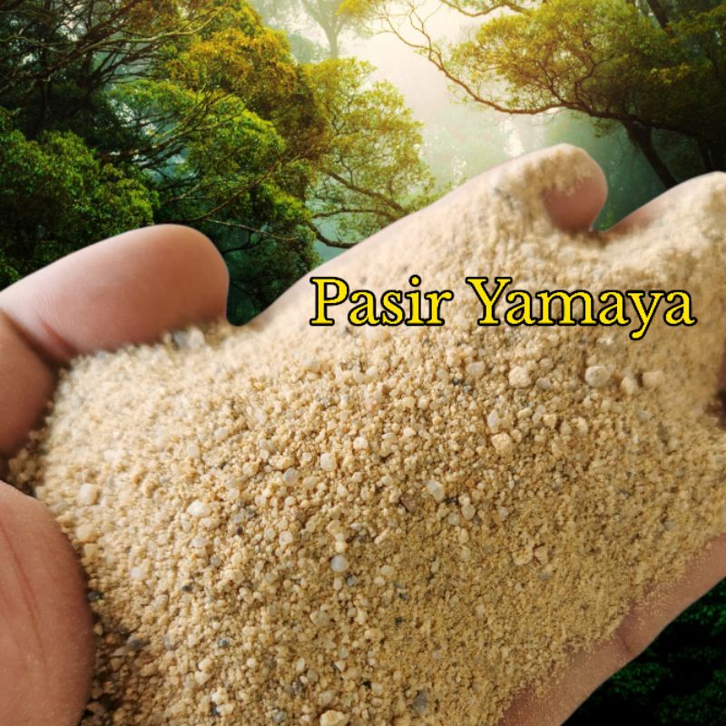 Pasir Yamaya 2