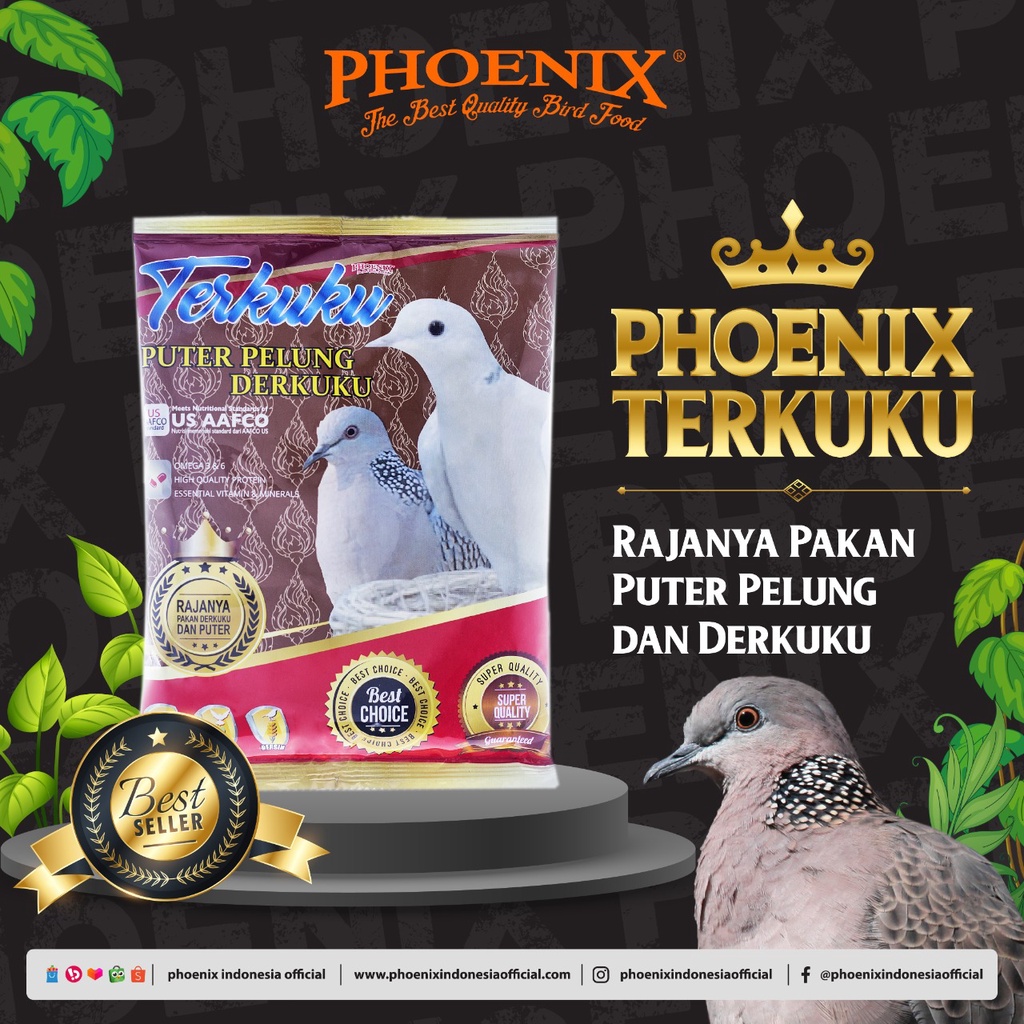 Dua Sigma Nusantara Phoenix Terkuku Pakan Puter Pelung Derkuku