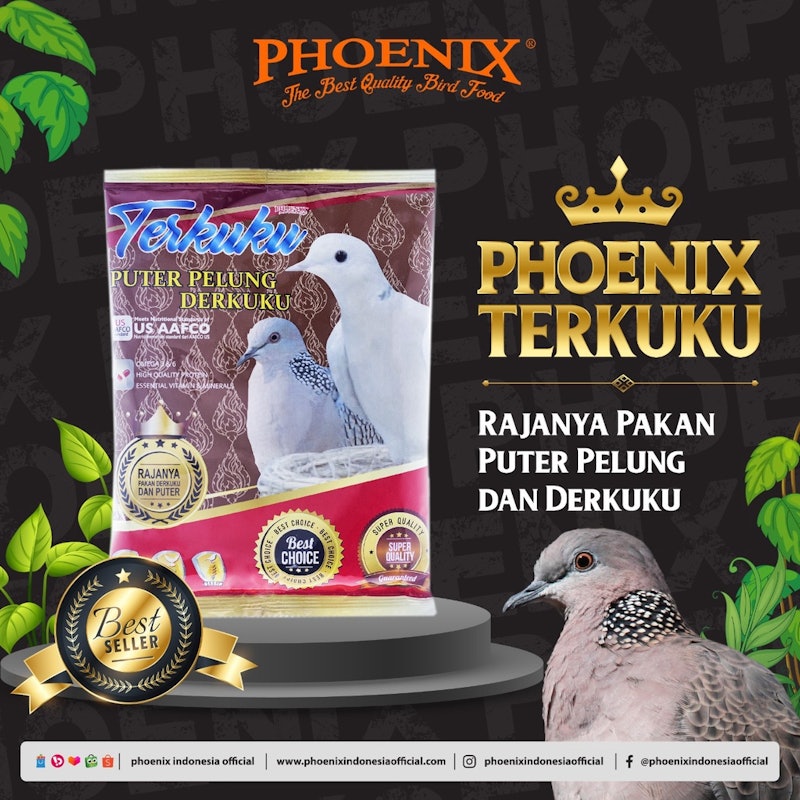 Phoenix Terkuku Pakan Puter Pelung Derkuku 3