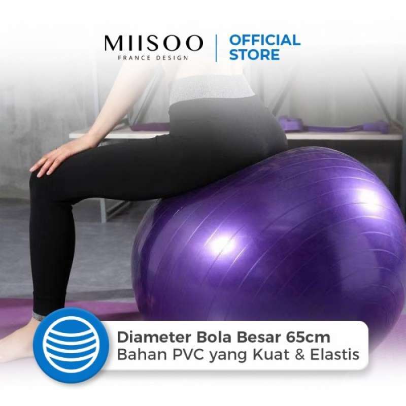 Dunia Internet Teknologi MIISOO Gym Ball